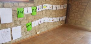 Esdeveniment Oli d'Oliva Verge Extra Cooperativa Agrícola de l’Albi