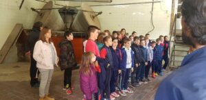 Esdeveniment Oli d'Oliva Verge Extra Cooperativa Agrícola de l’Albi