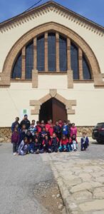 Esdeveniment Oli d'Oliva Verge Extra Cooperativa Agrícola de l’Albi