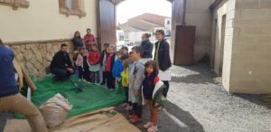 Esdeveniment Oli d'Oliva Verge Extra Cooperativa Agrícola de l’Albi