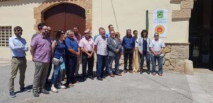Esdeveniment Oli d'Oliva Verge Extra Cooperativa Agrícola de l’Albi