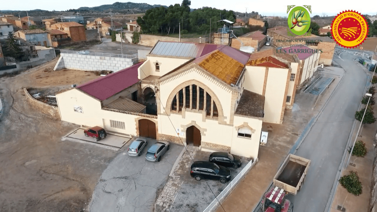 Oli d'Oliva Verge Extra Cooperativa Agrícola de l’Albi